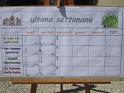 Grest_2012-19-7 001